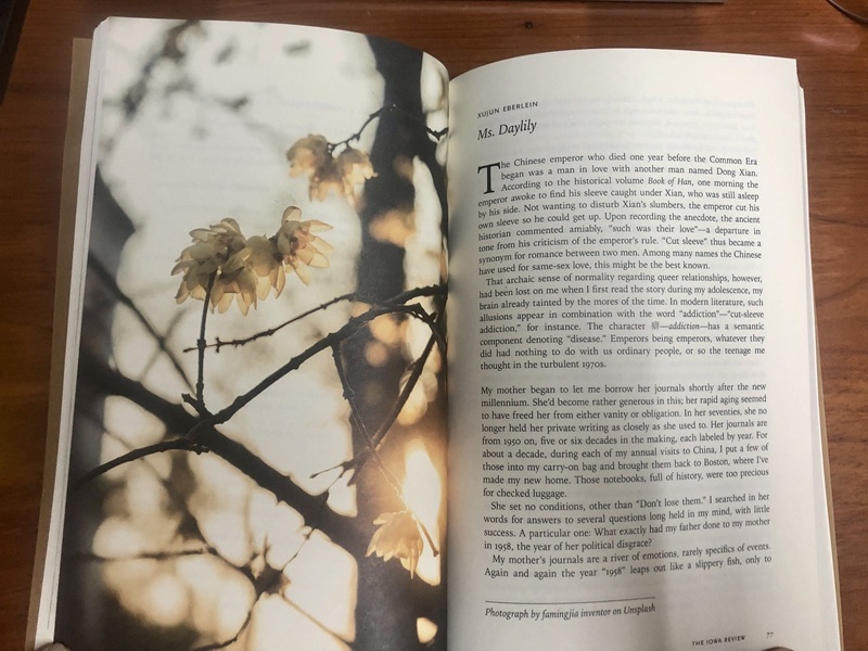 The Iowa Review